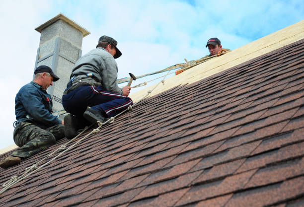 Roof Waterproofing Services in Fayetteville, TN